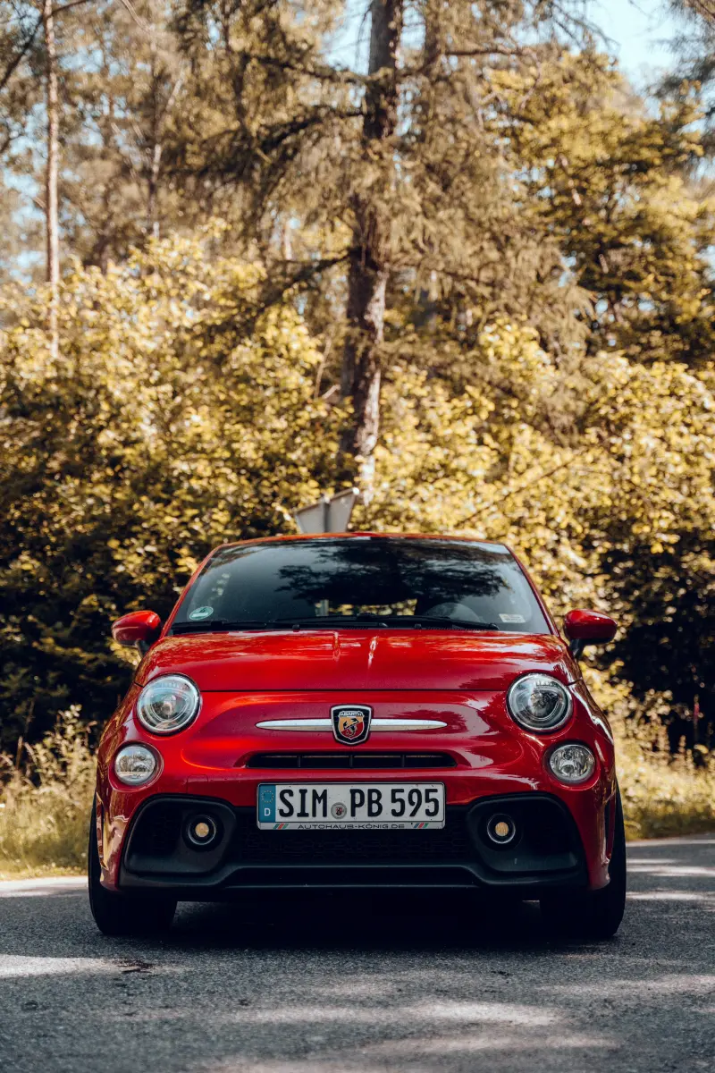 Rotes Auto auf Waldstraße